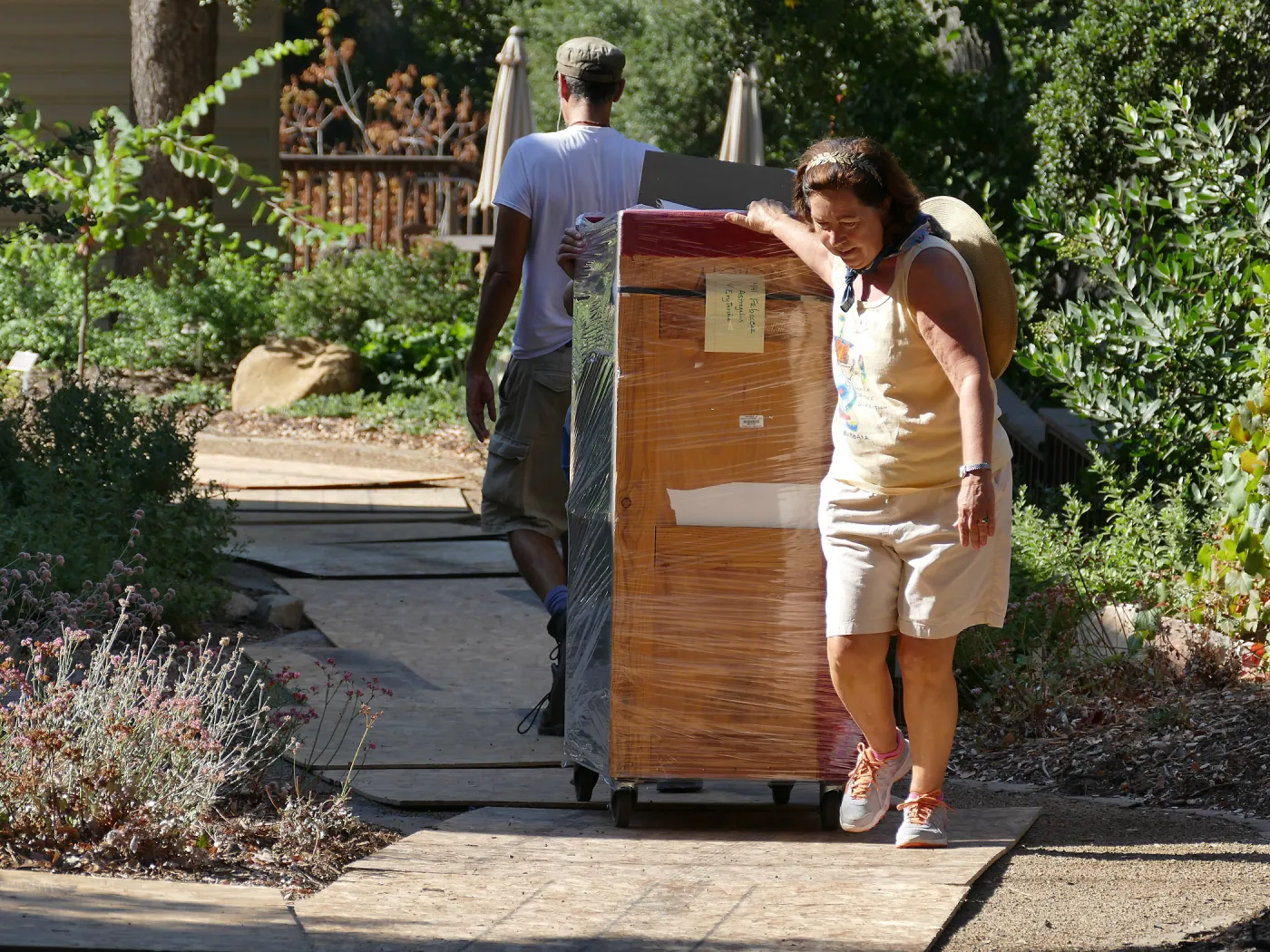 2016 Herbarium Collection Move