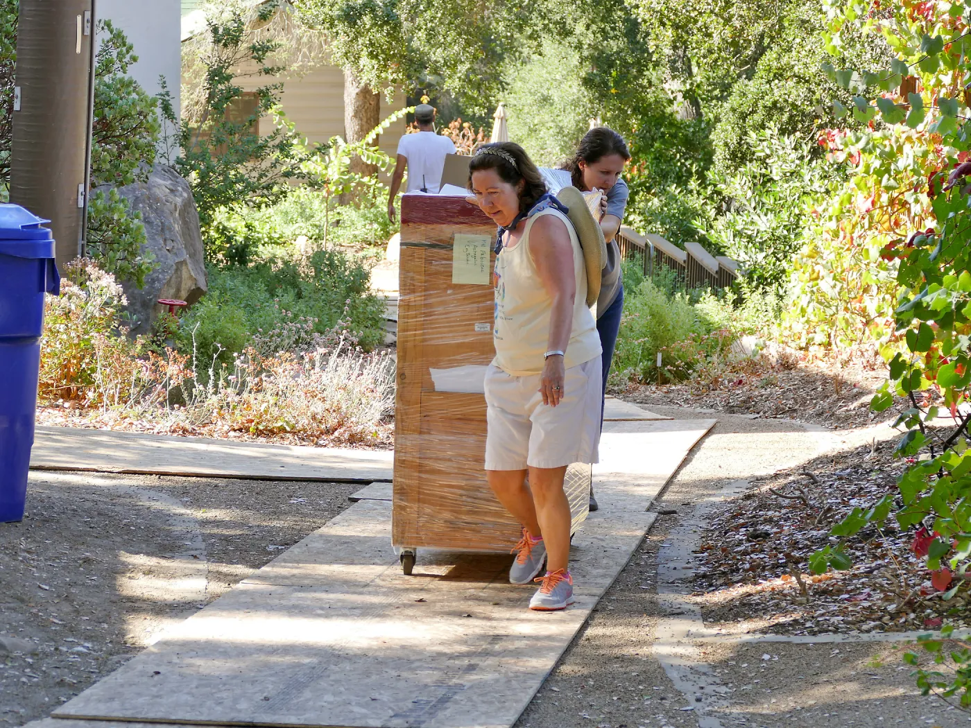 2016 Herbarium Collection Move