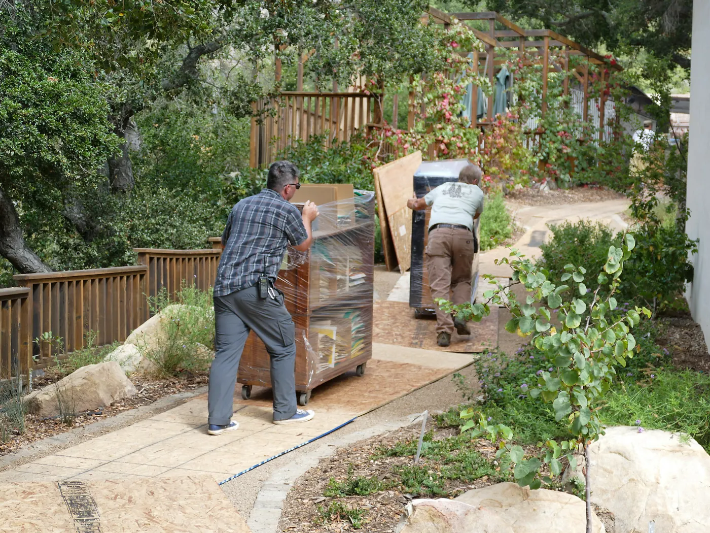 2016 Herbarium Collection Move