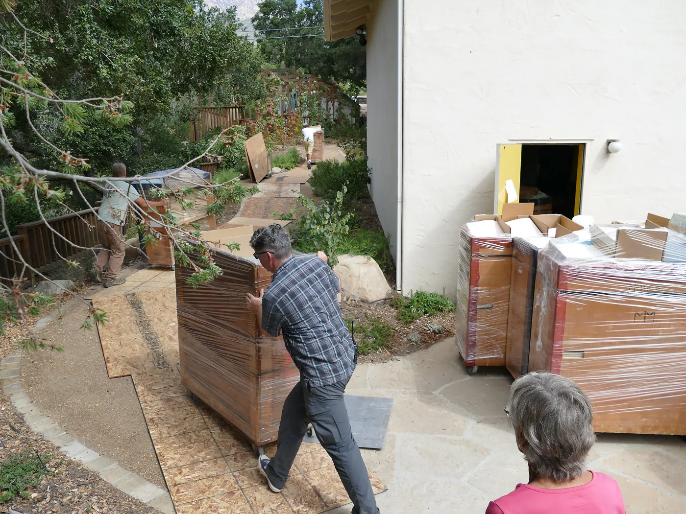 2016 Herbarium Collection Move
