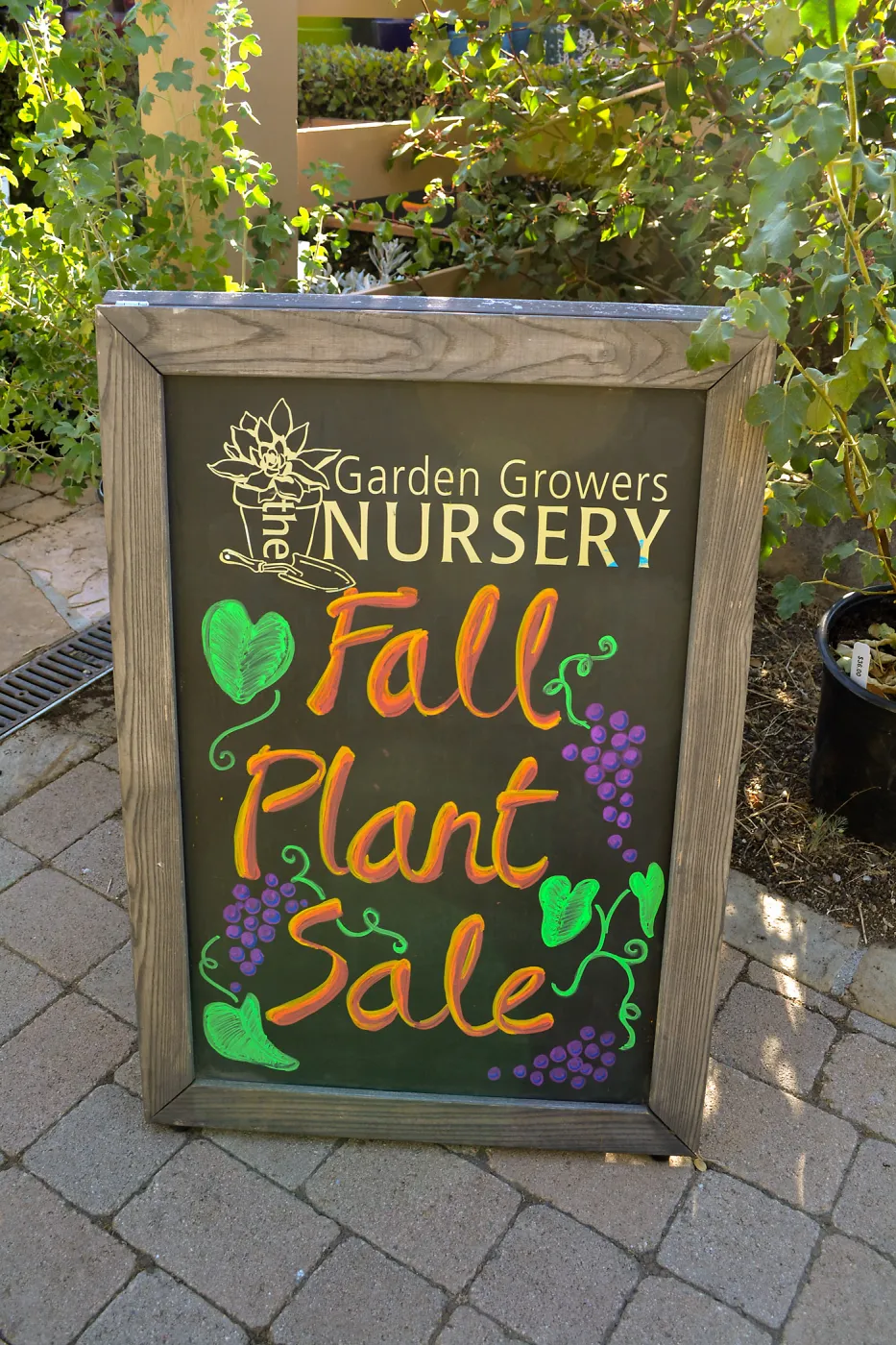 2016 Fall Native Plant Sale Preview Party