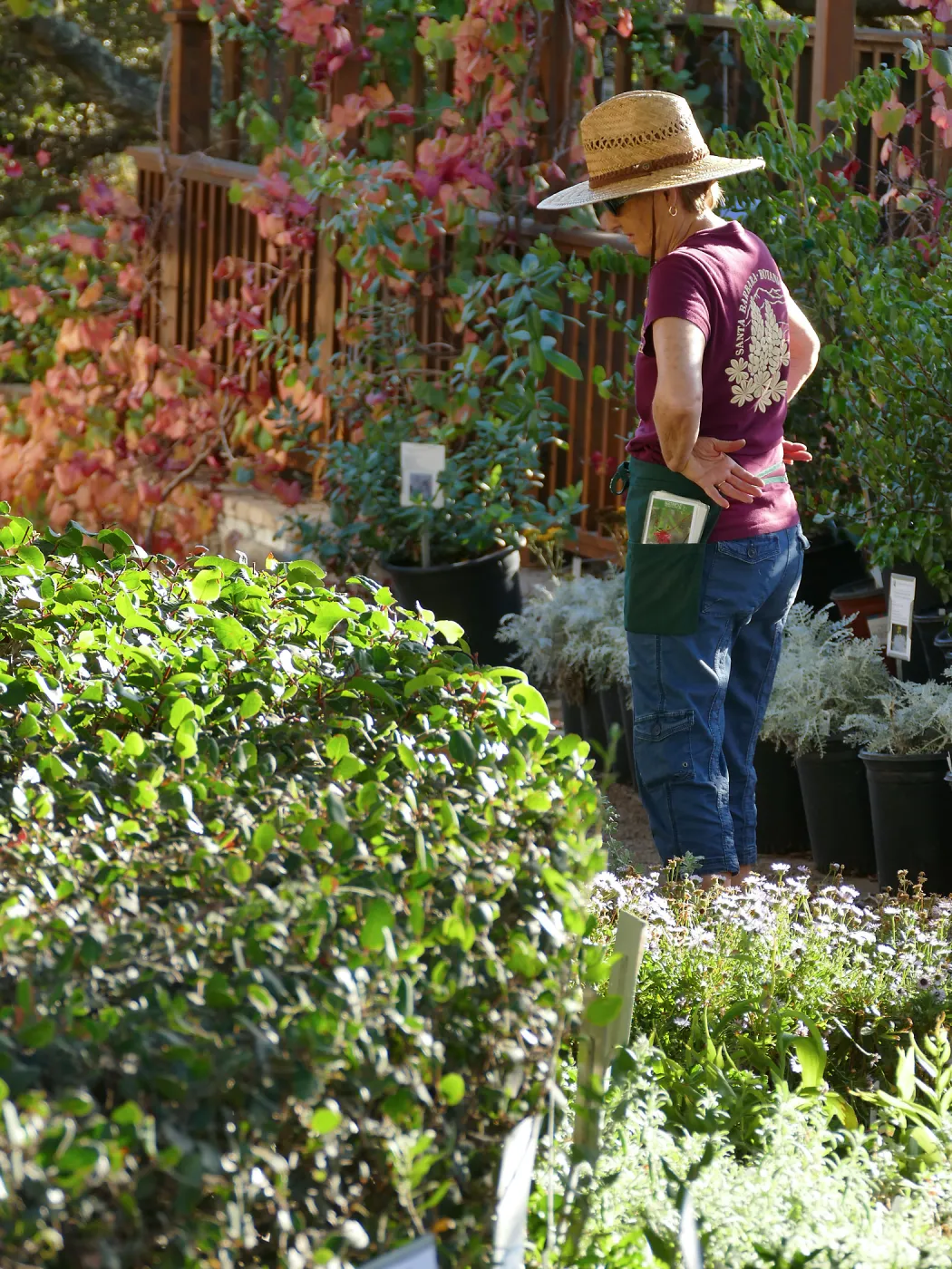 2016 Fall Native Plant Sale Preview Party