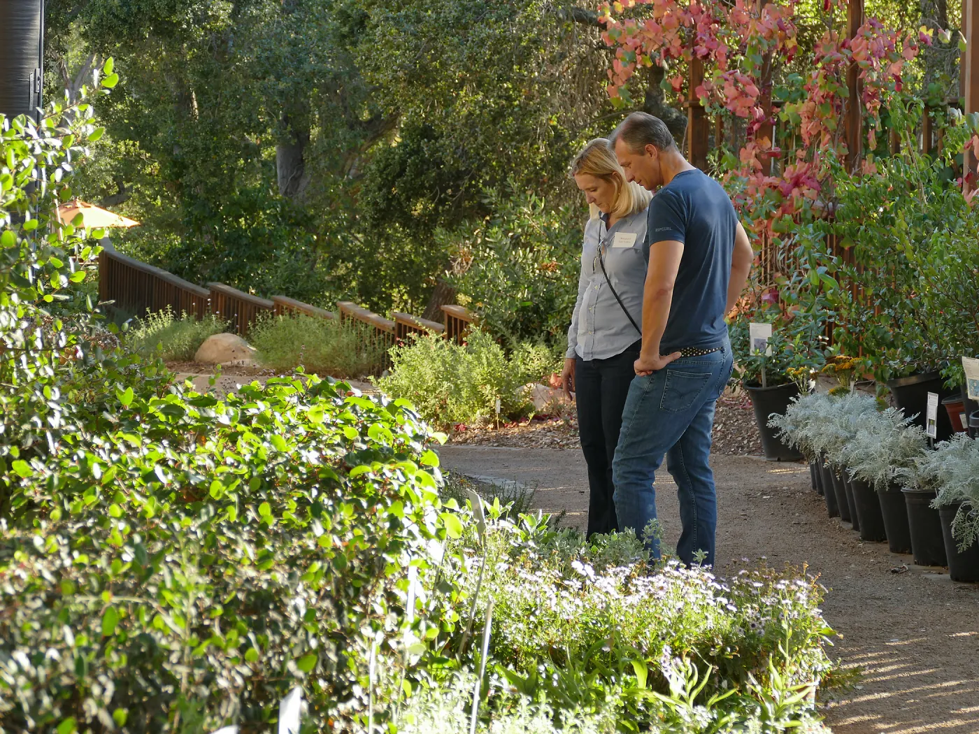 2016 Fall Native Plant Sale Preview Party