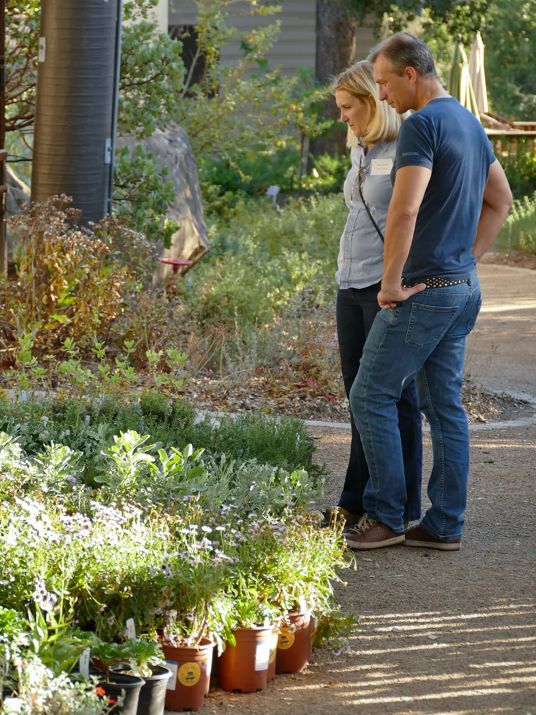 2016 Fall Native Plant Sale Preview Party
