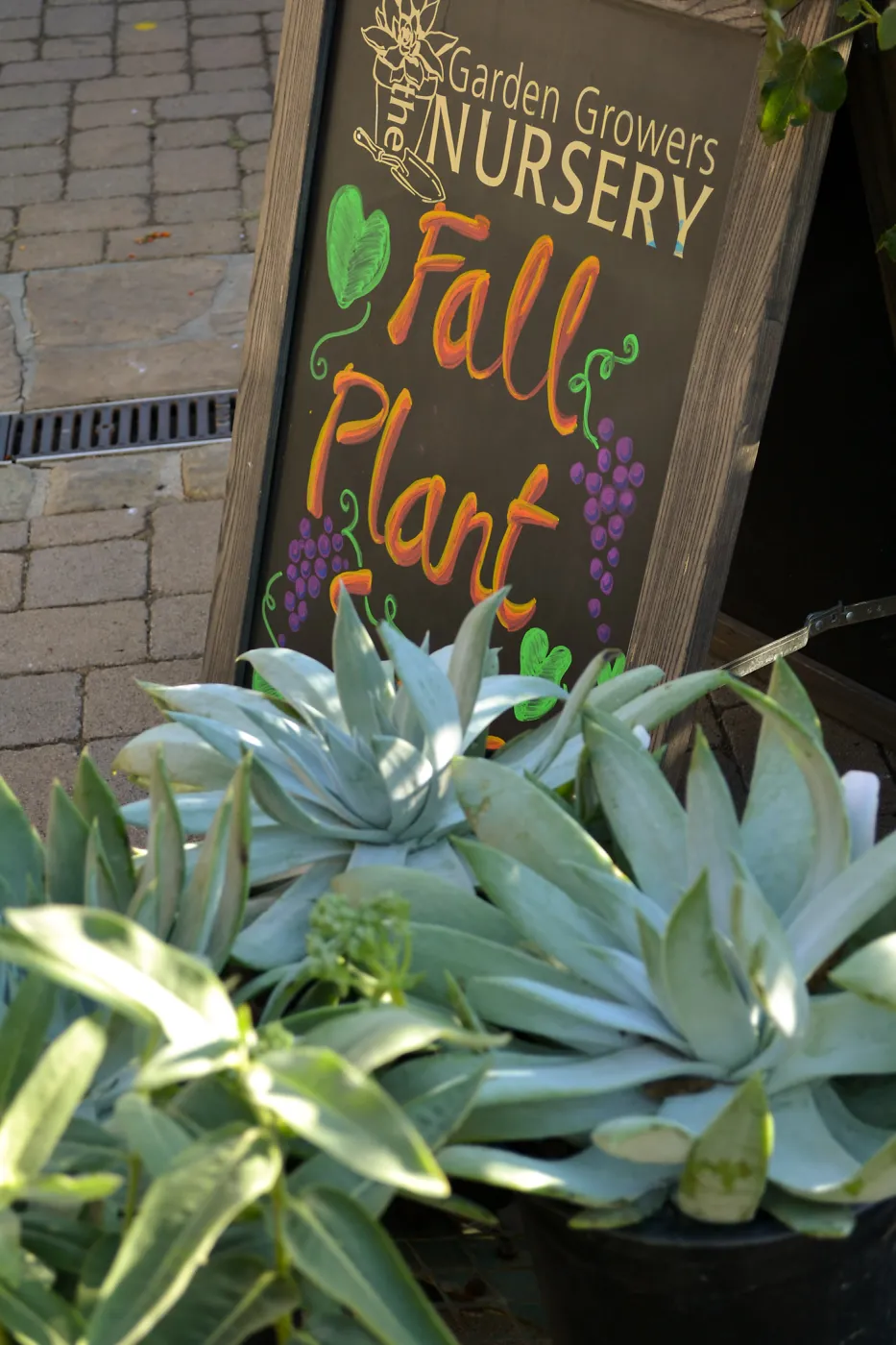 2016 Fall Native Plant Sale Preview Party