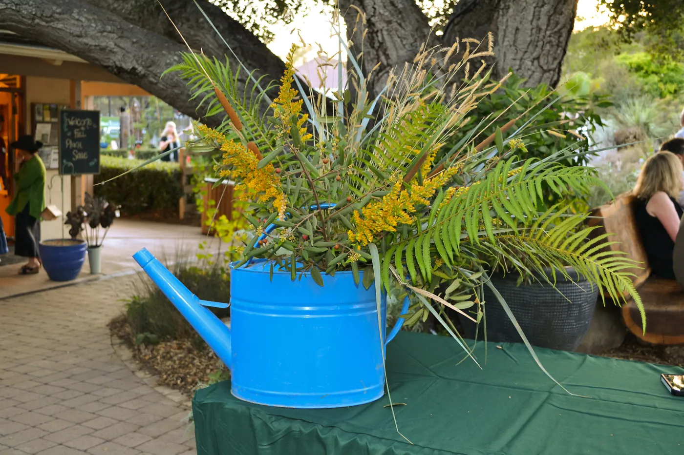 2016 Fall Native Plant Sale Preview Party