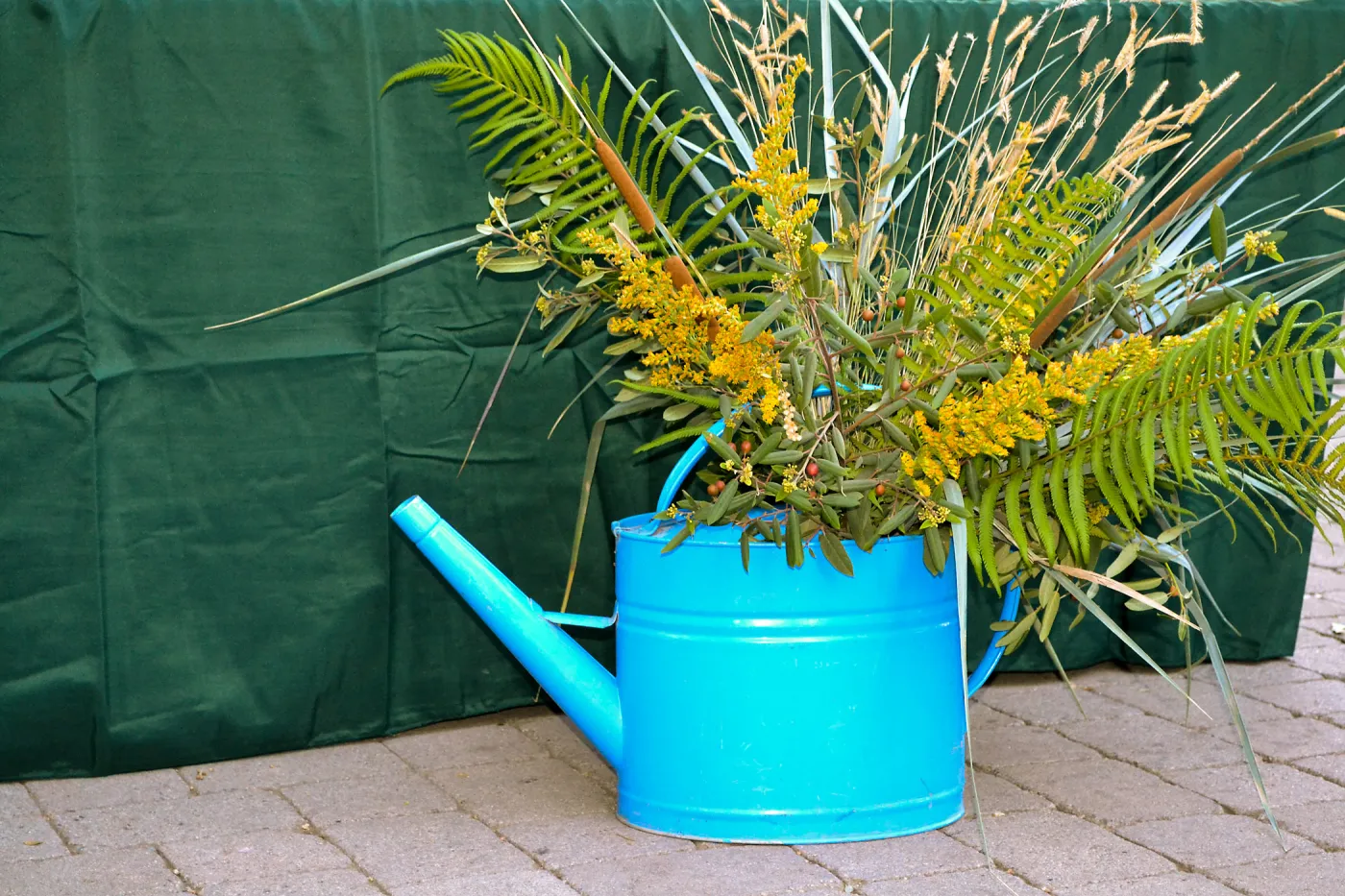 2016 Fall Native Plant Sale Preview Party