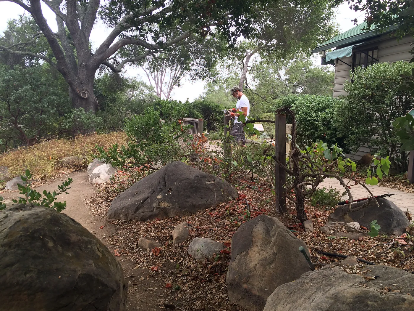 Adam Kuster working in the Home Demo Garden