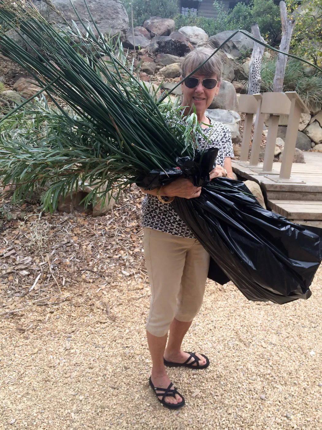 Yarn Bomber collecting Scirpus and Salix