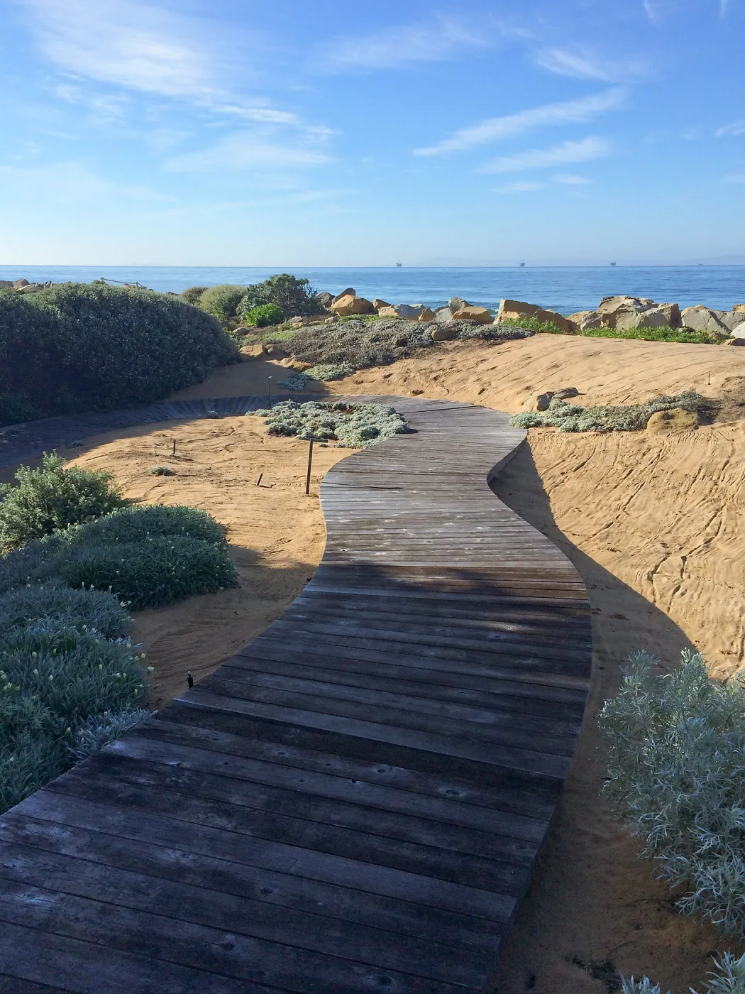 Touring gardens with Isabelle Greene, Sand Point Road, Carpenteria