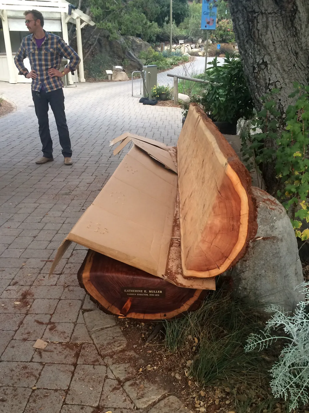 Installation of the Katherine Muller bench