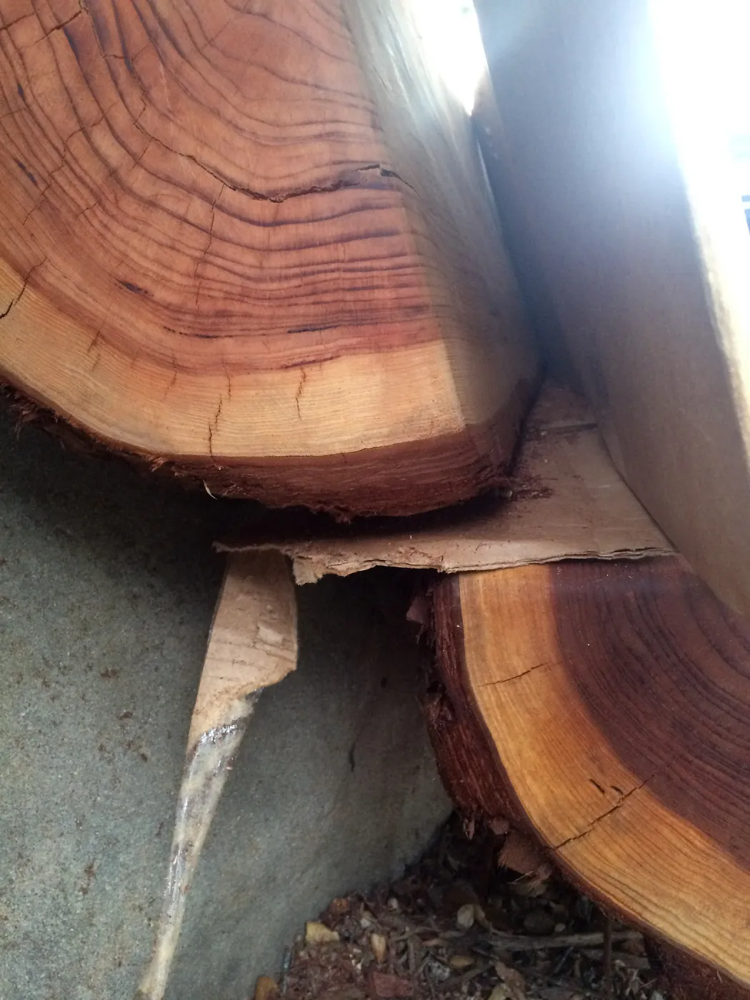 Installation of the Katherine Muller bench