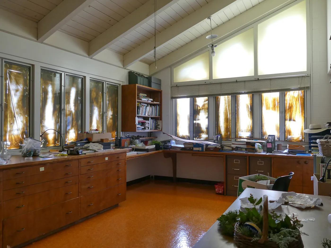 Old Herbarium, now Education Center, repainting, Director of Education’s office with windows masked