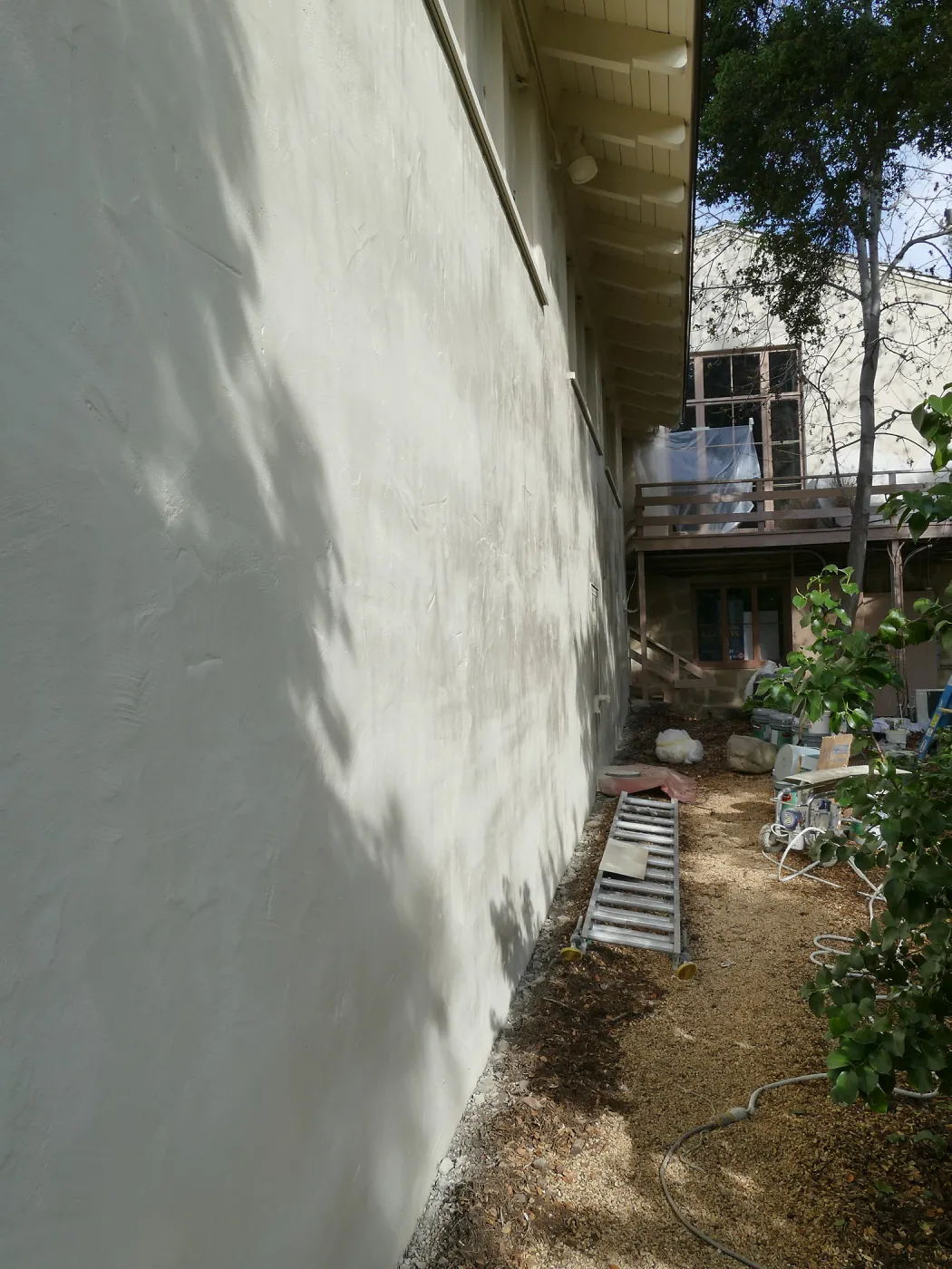 Old Herbarium, now Education Center, repainting