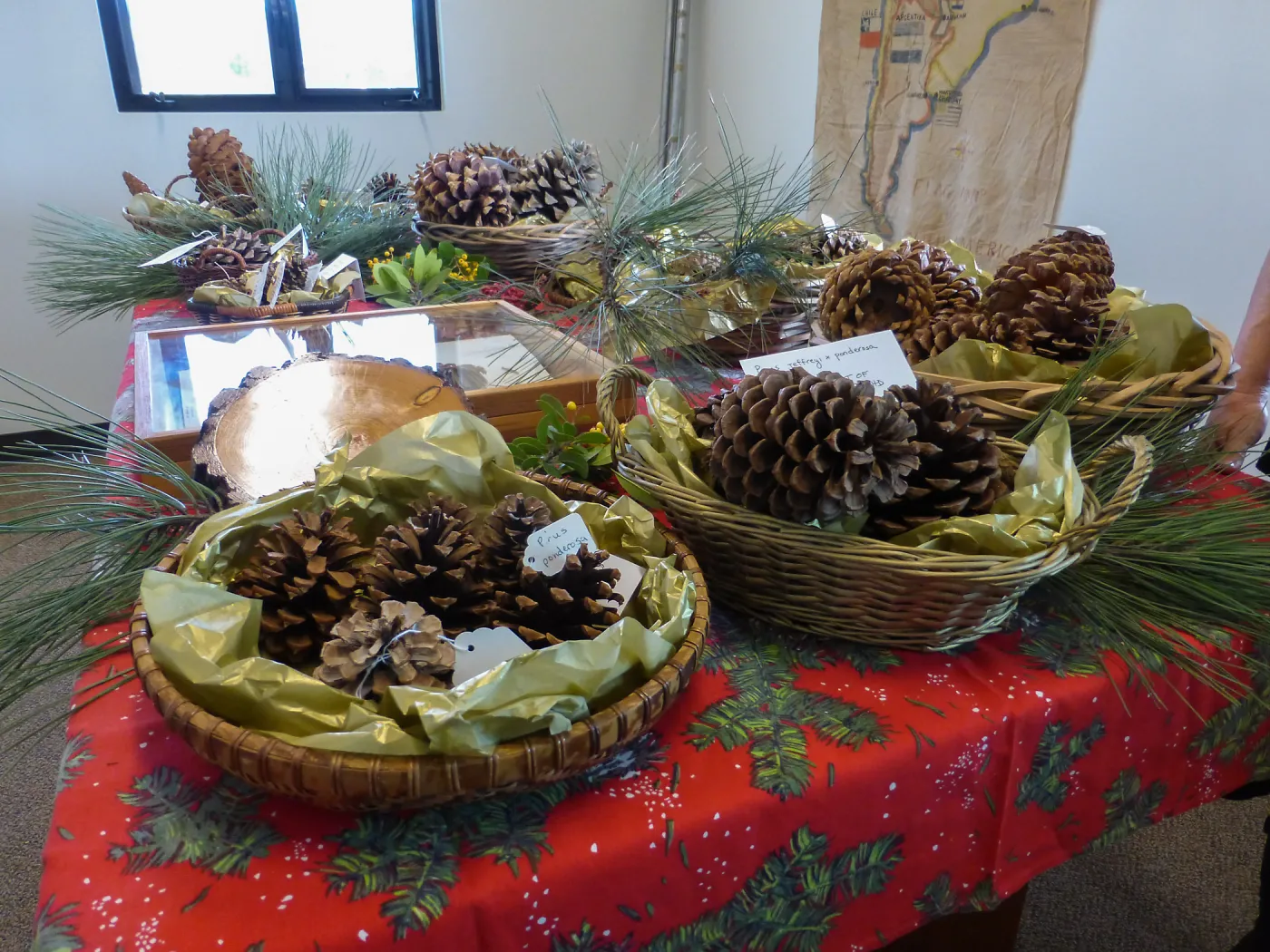 John Robert Haller Memorial, pine cone display