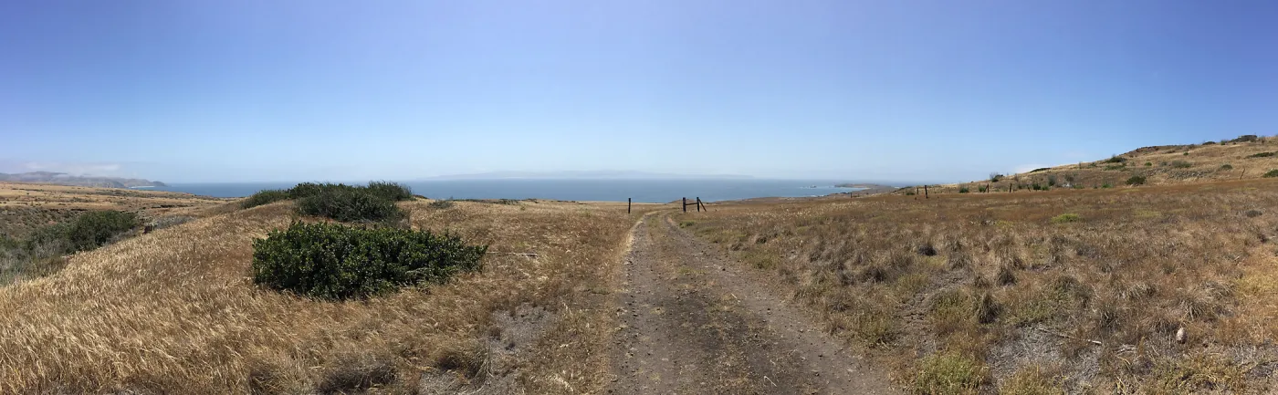Santa Cruz Island Trip, group explores grasslands