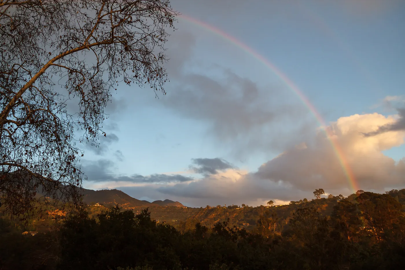 Rainbow