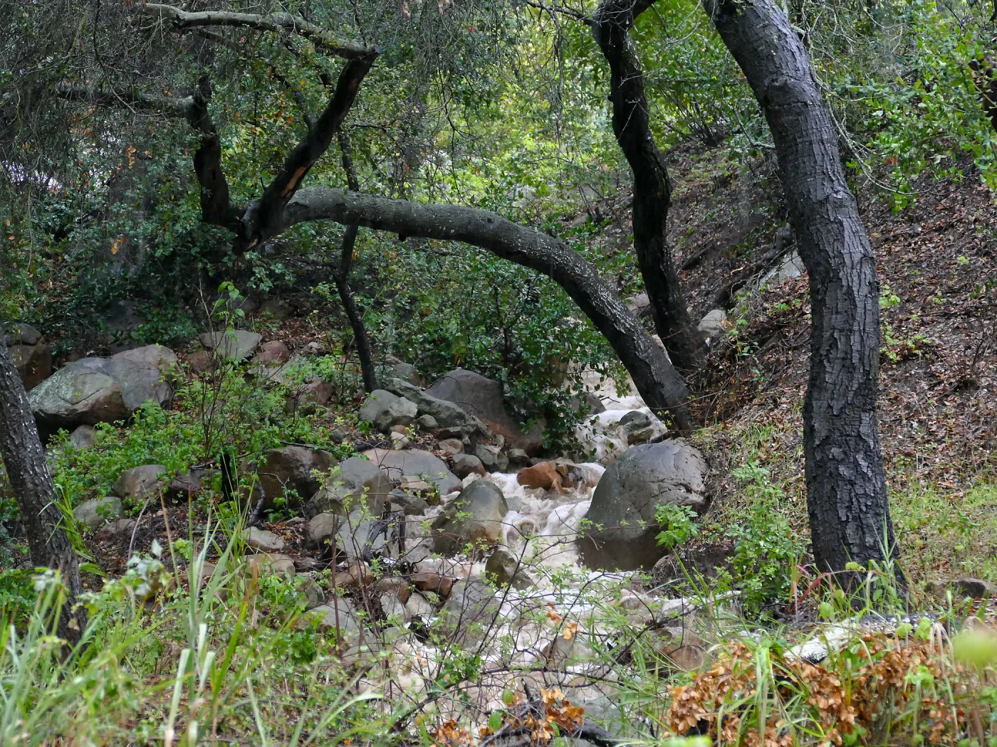 Stormwater above well tank