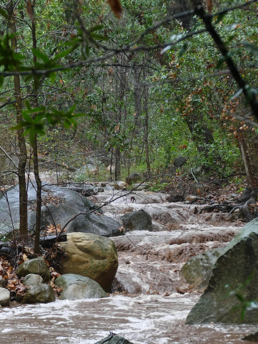 Mission Creek during rainstorm, just above lower crossing