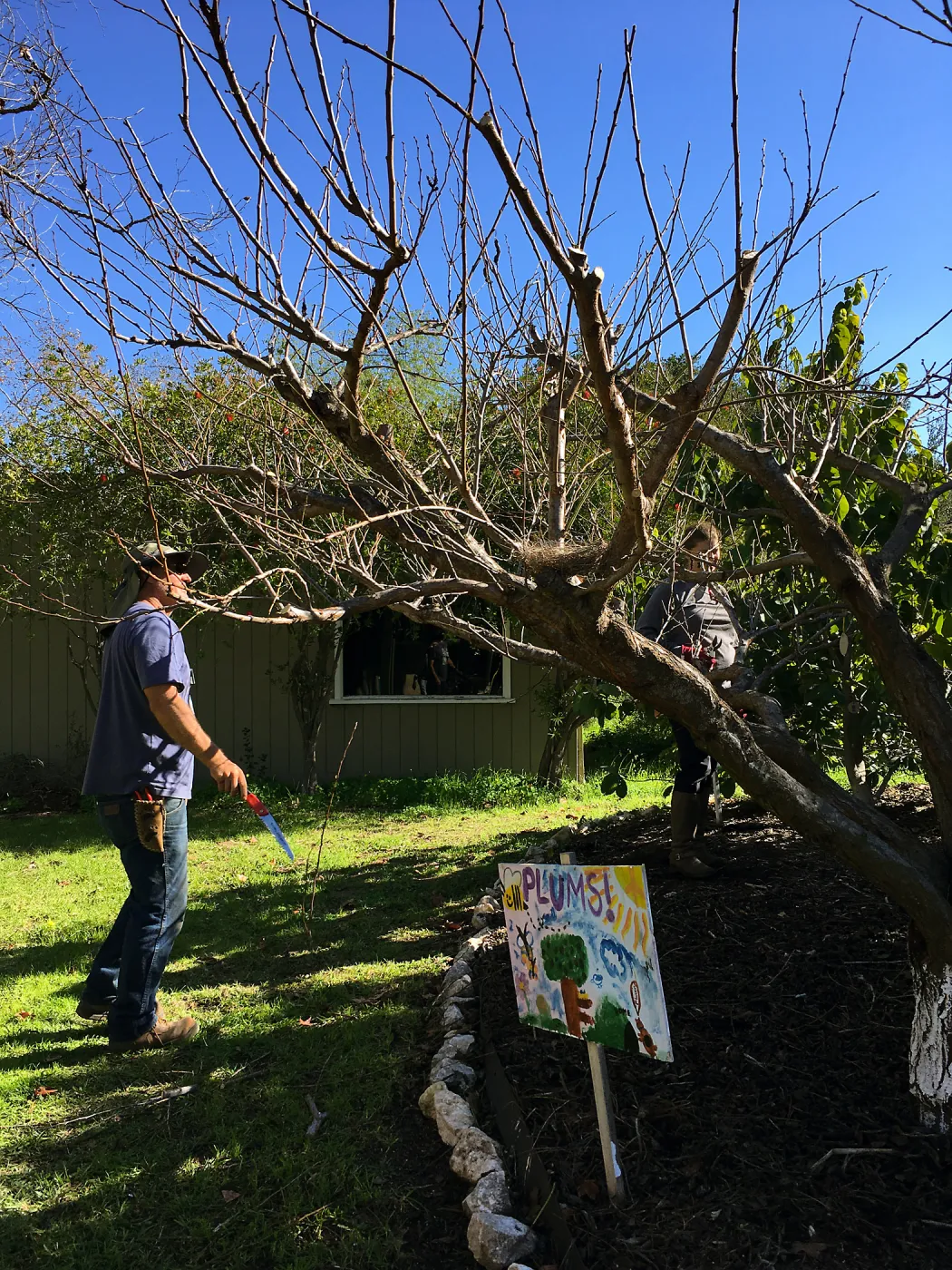 Martin Luther King Day of Service, SBBG staff working at Monte Vista School