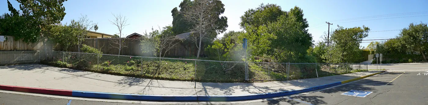 Martin Luther King Day of Service, Monte Vista School Native Plant Area after cleanup work