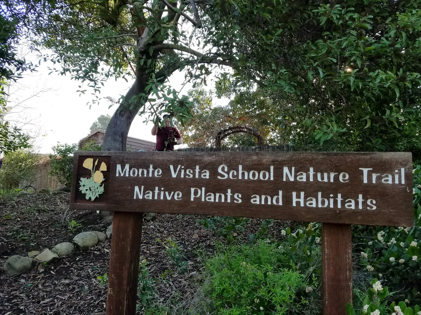 Martin Luther King Day of Service, SBBG staff working at Monte Vista School