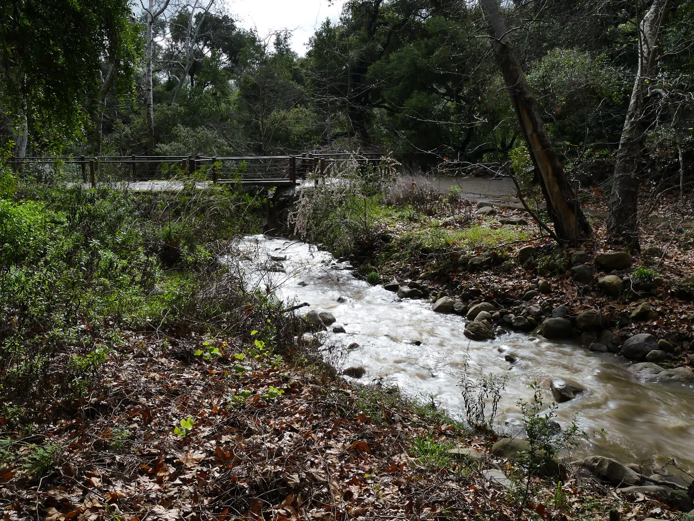 Mission Creek flowing towards Mission Dam