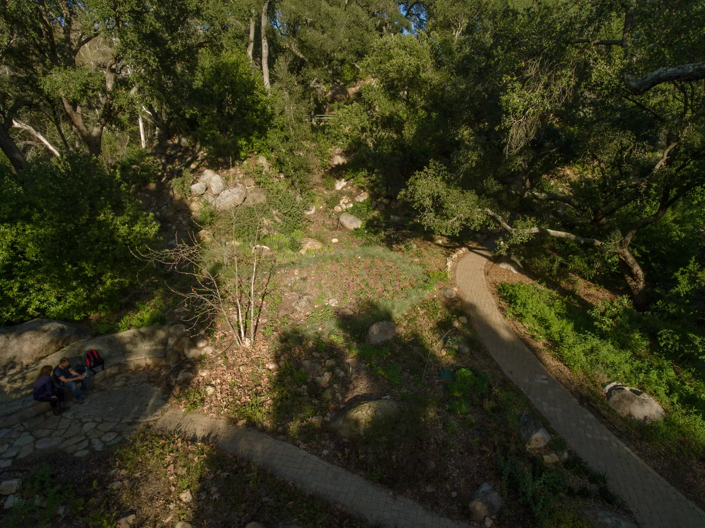 Wooded Dell, aerial view
