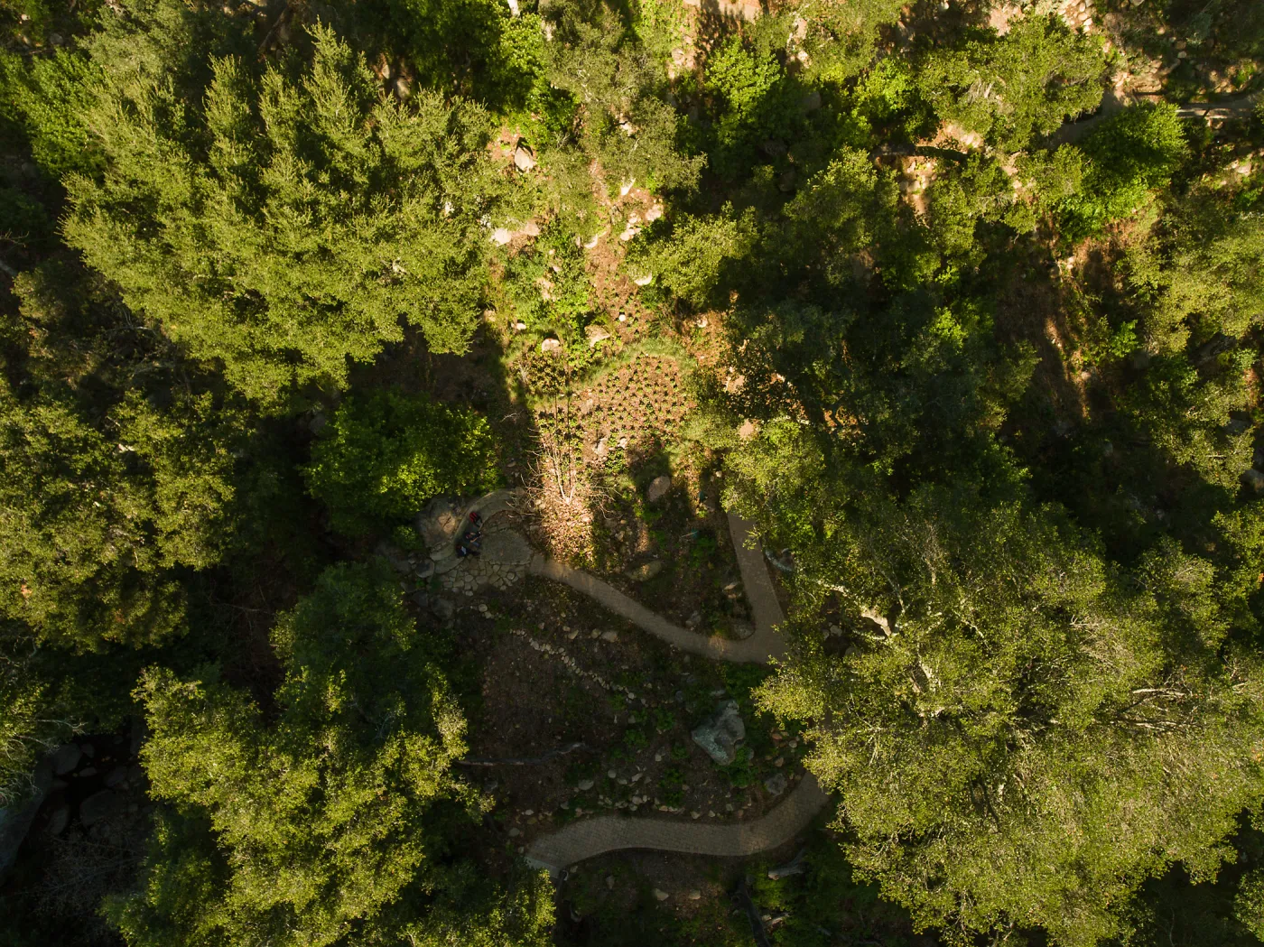 Wooded Dell, aerial view