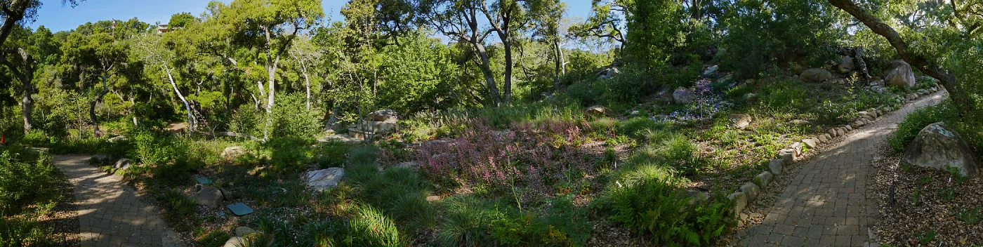 Wooded Dell panorama