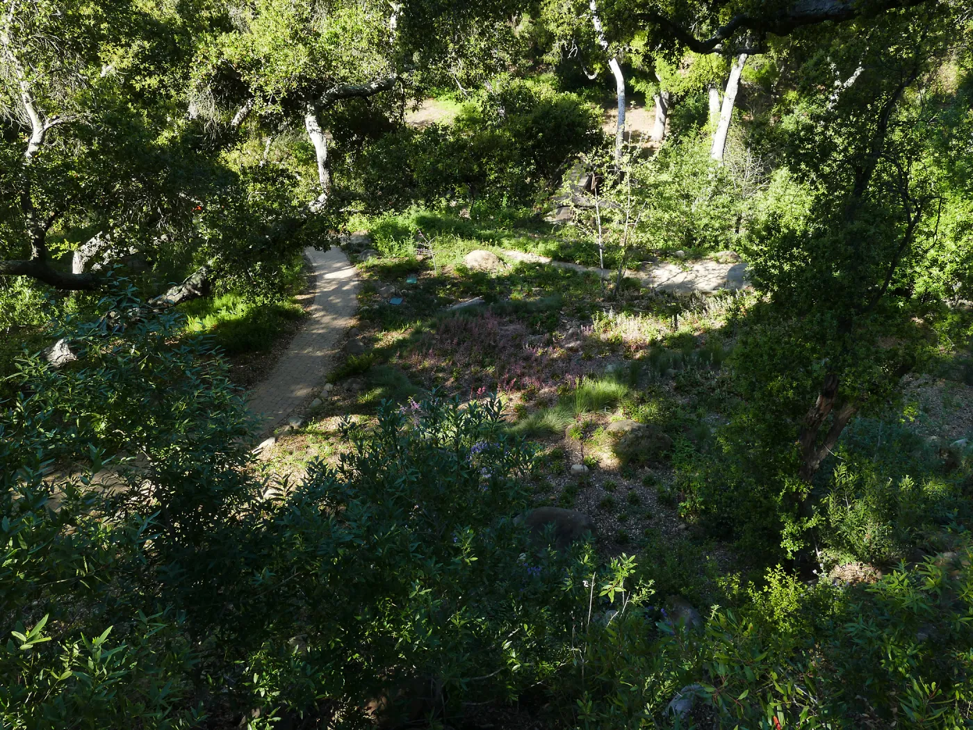 Wooded Dell, view from picnic area