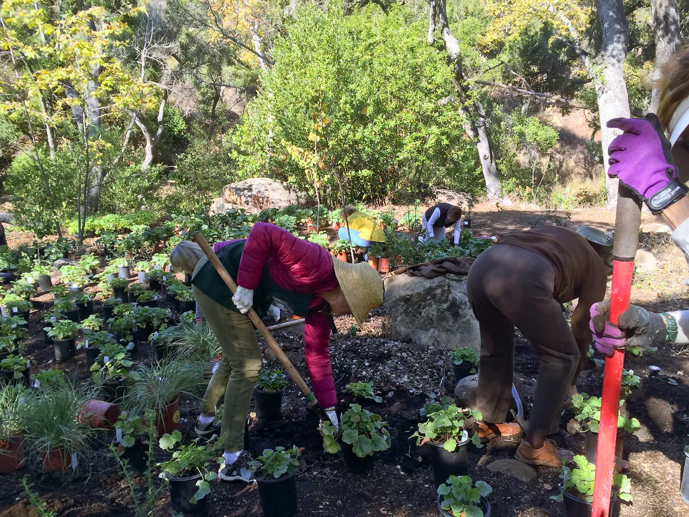 Volunteers helping with installation of the Wooded Dell