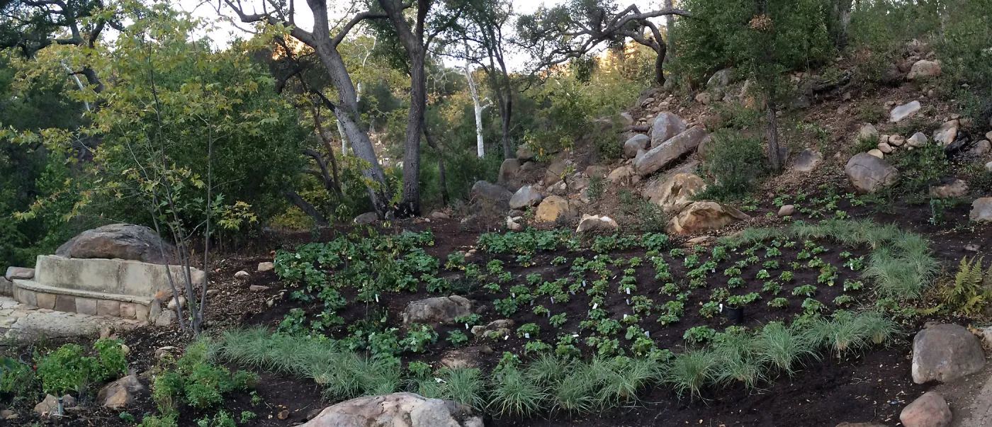 Installation of the Wooded Dell