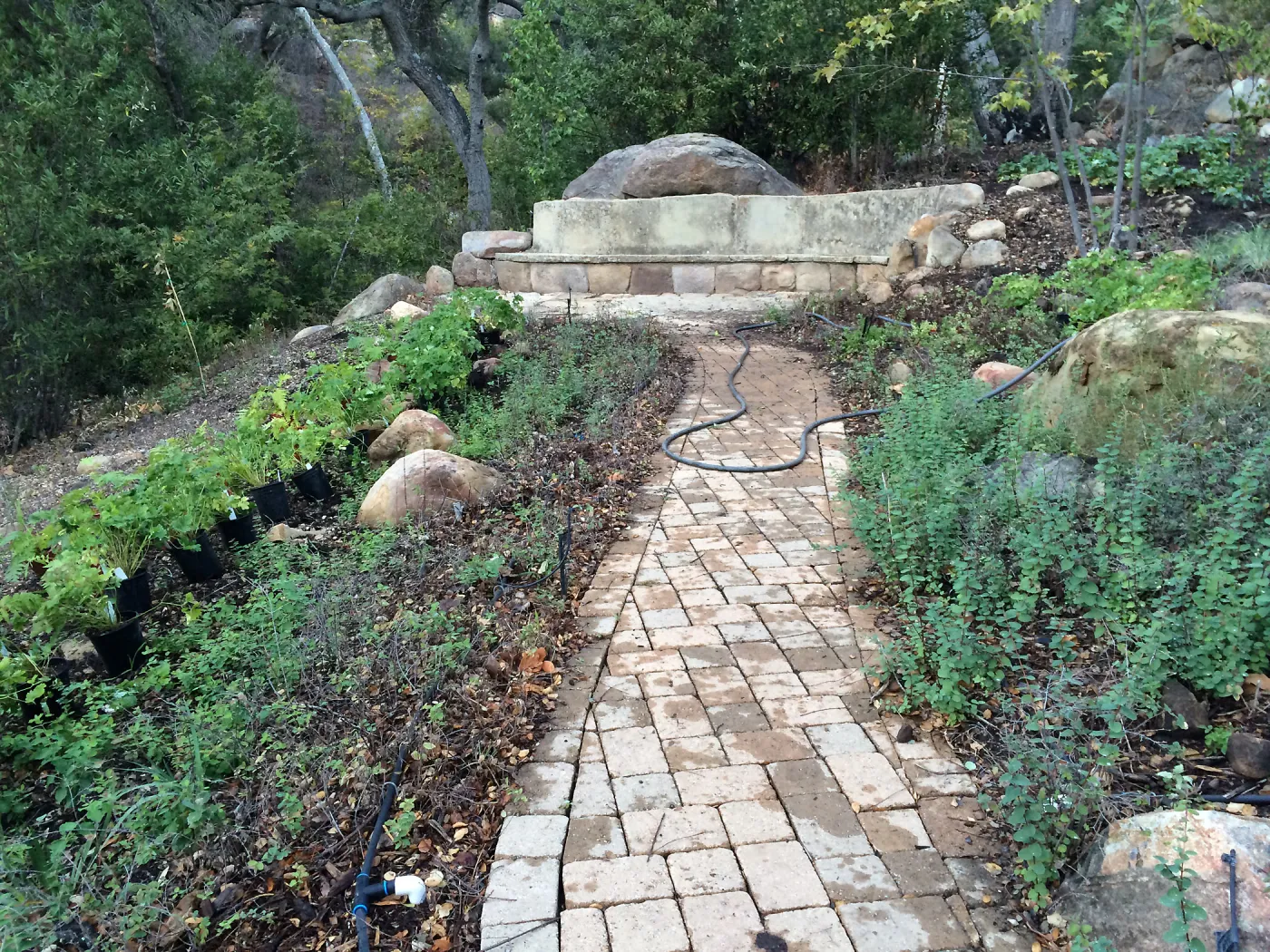 Installation of the Wooded Dell
