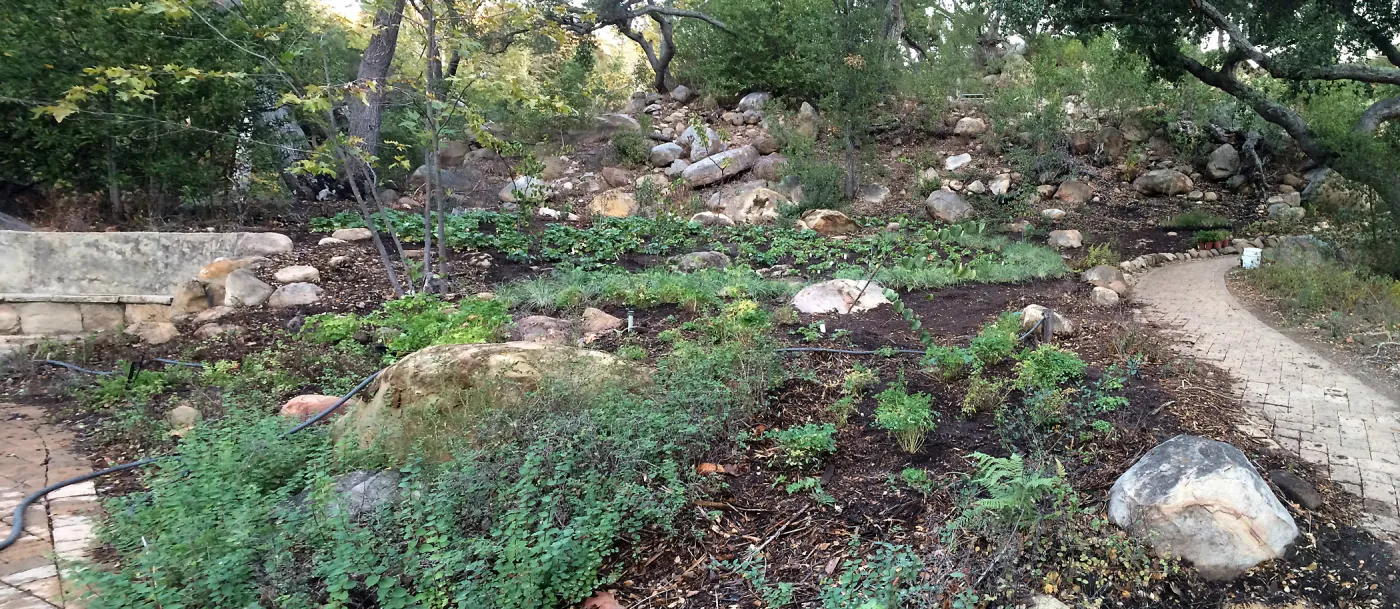 Installation of the Wooded Dell
