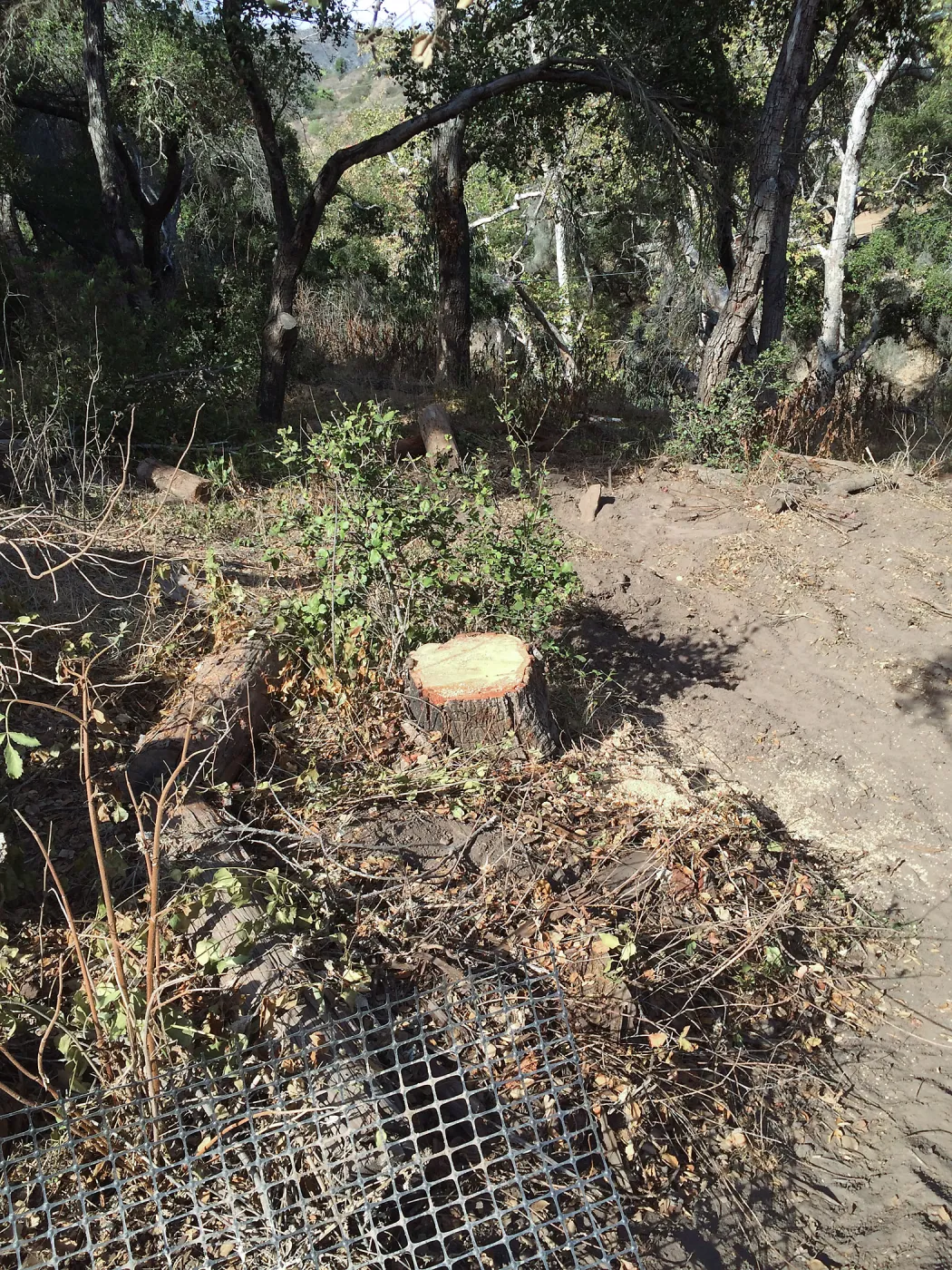Getting ready for soil stock pile at Hansen archeological site