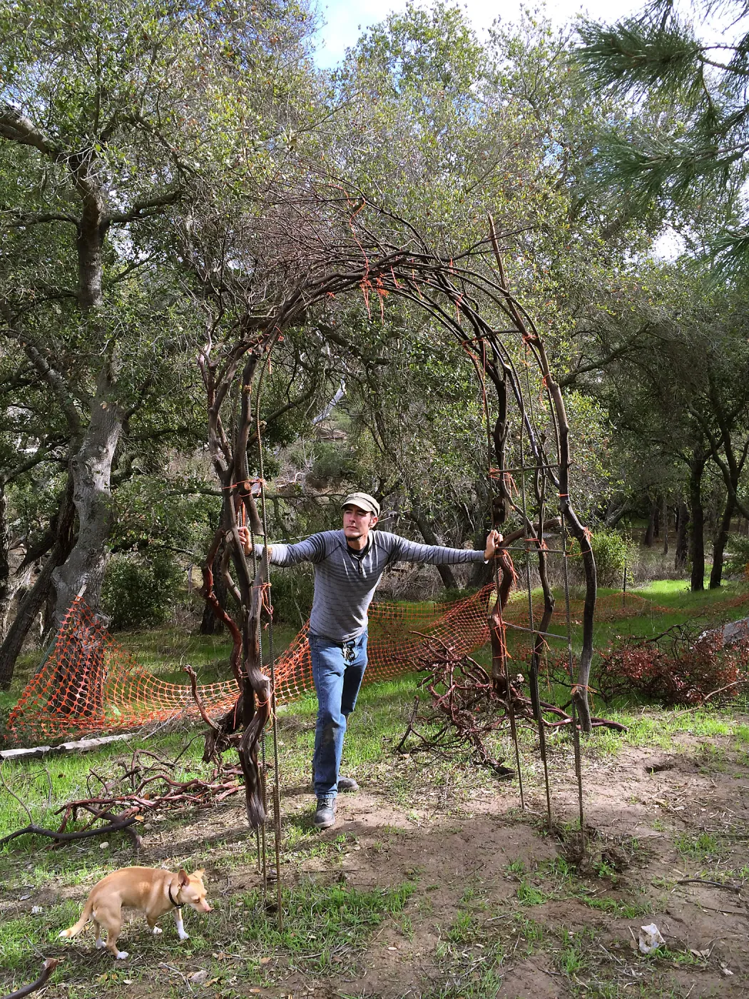 Adam Kuster constructring arch for the Centennial Maze