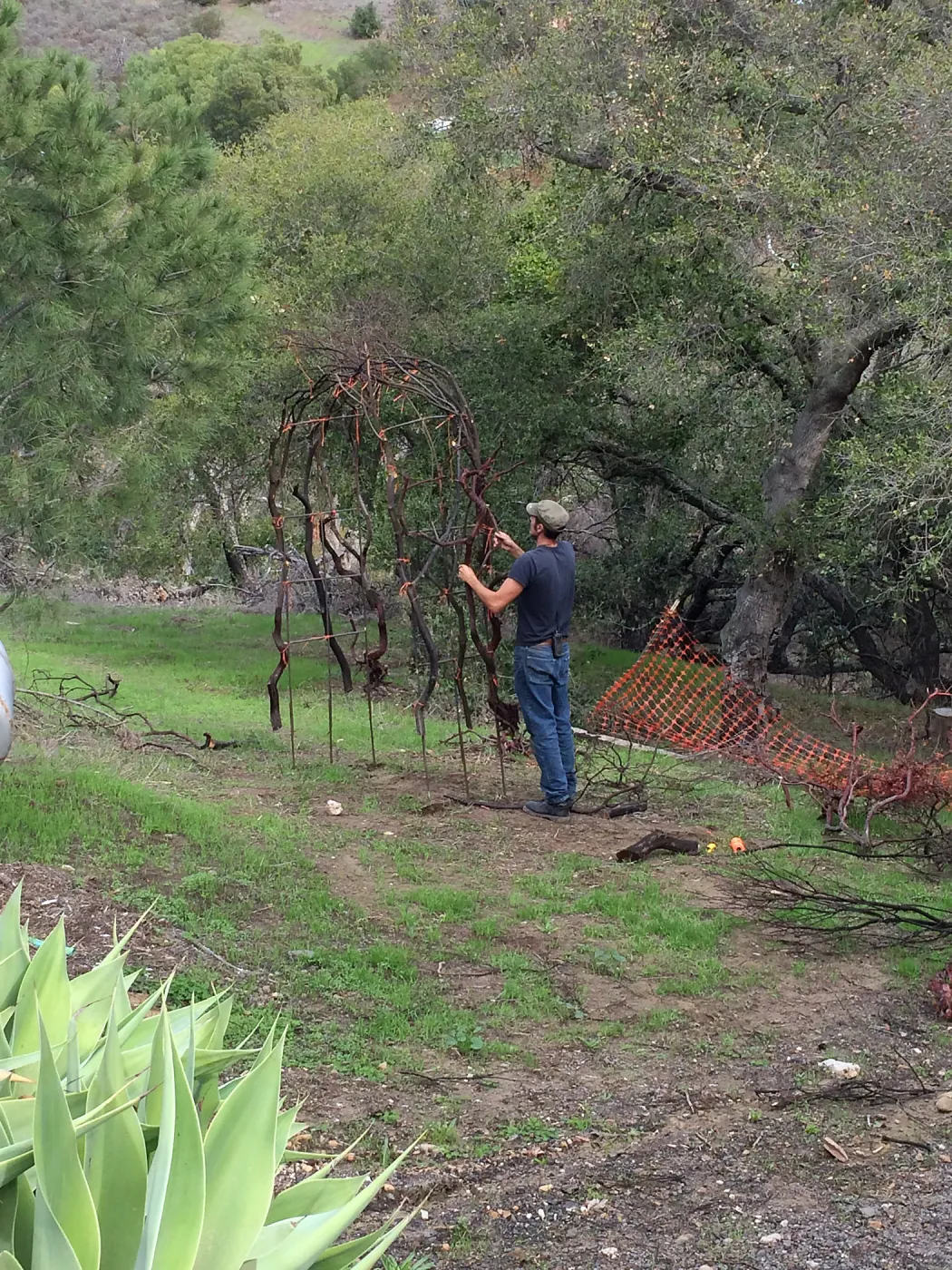 Adam Kuster constructing arch for the Centennial Maze