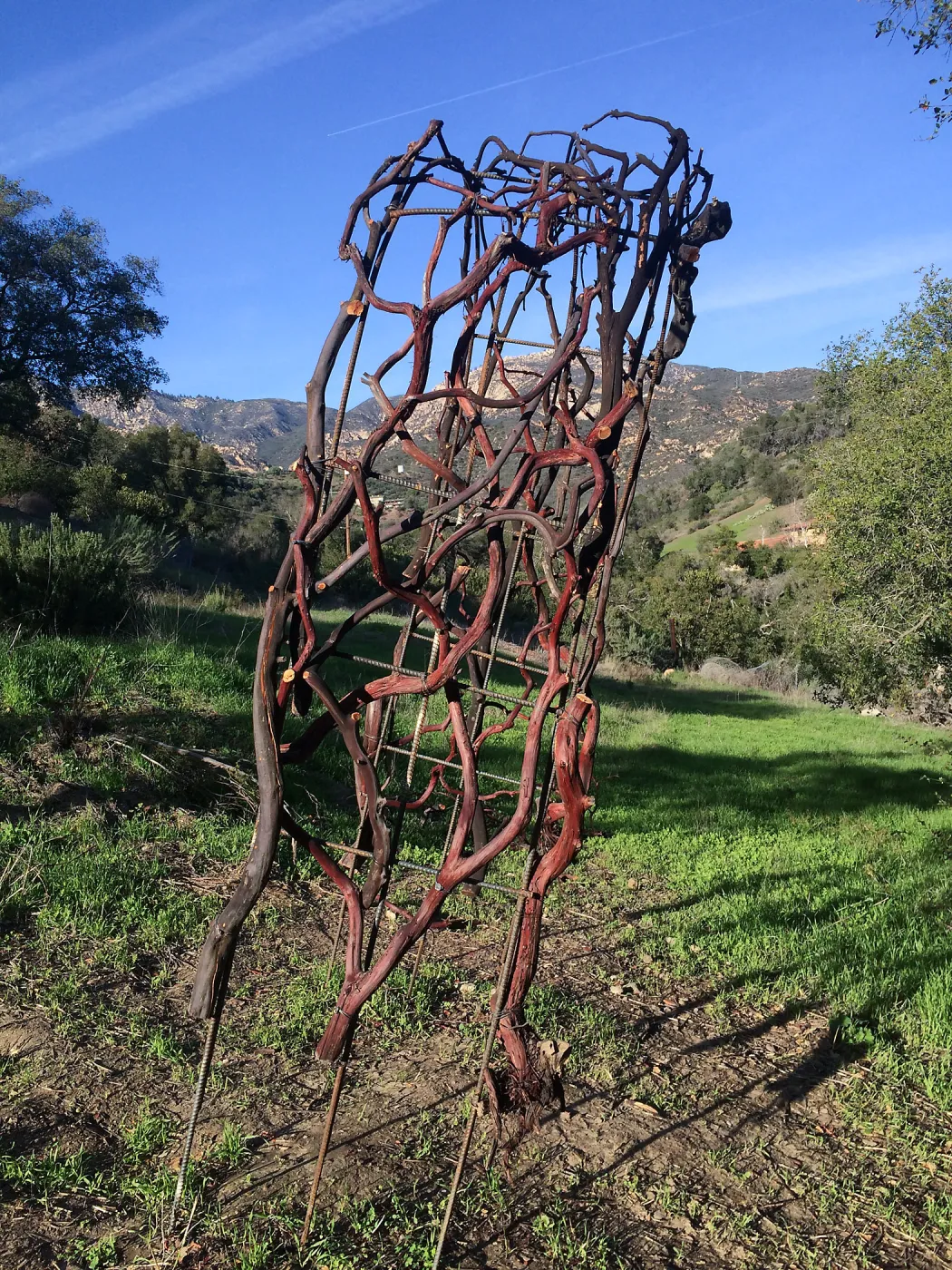 Finished arch for Centennial Maze