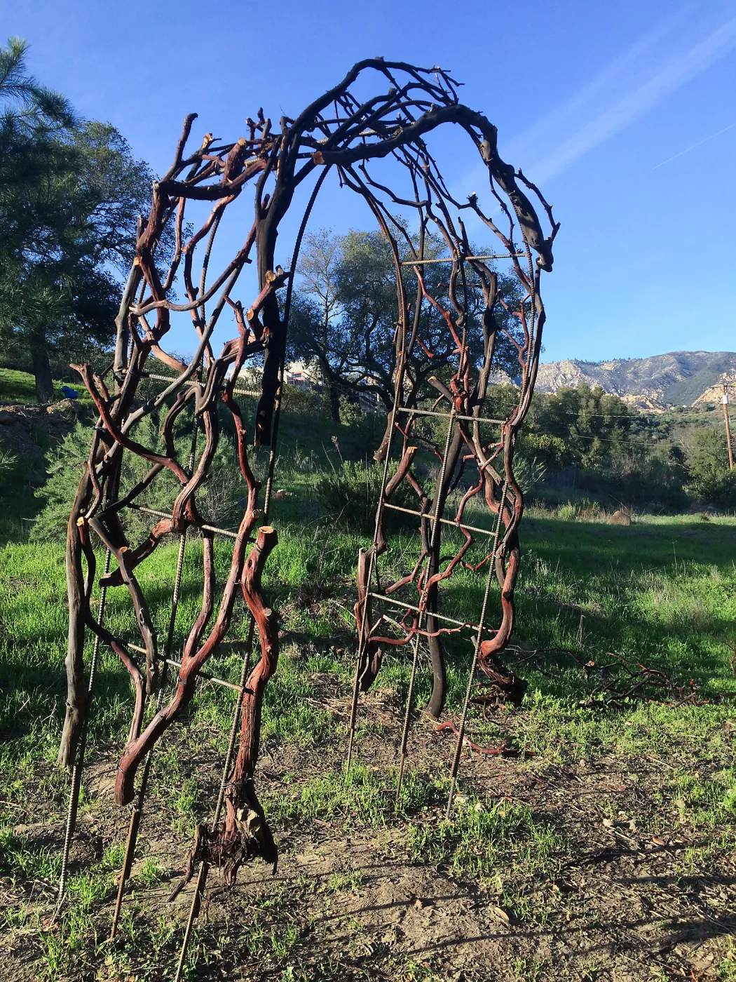 Finished arch for Centennial Maze