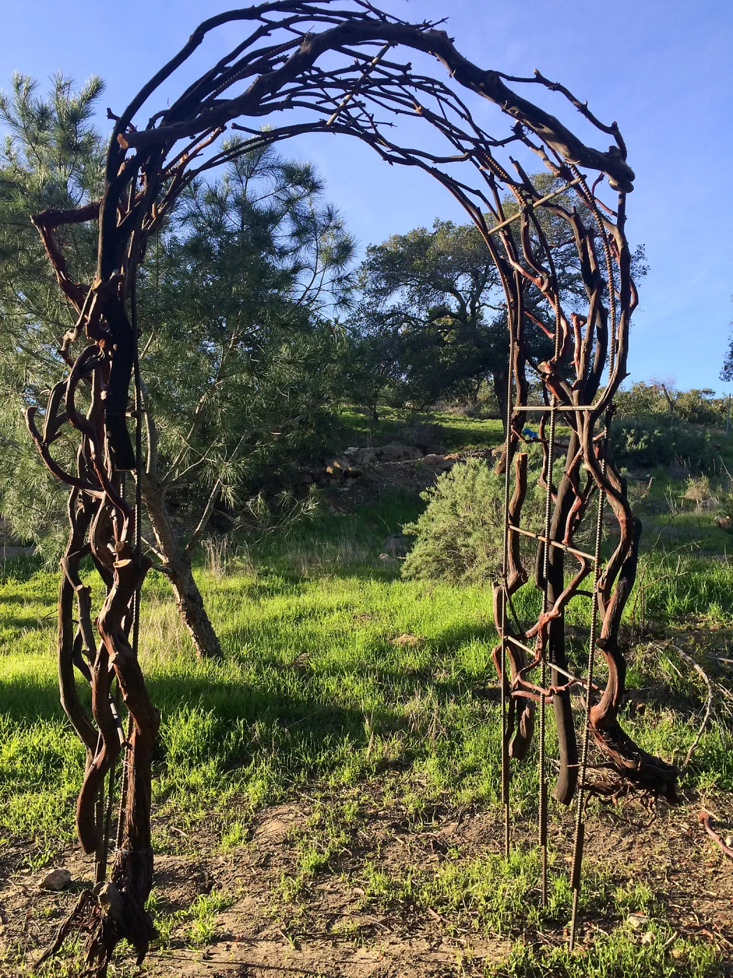 Finished arch for Centennial Maze