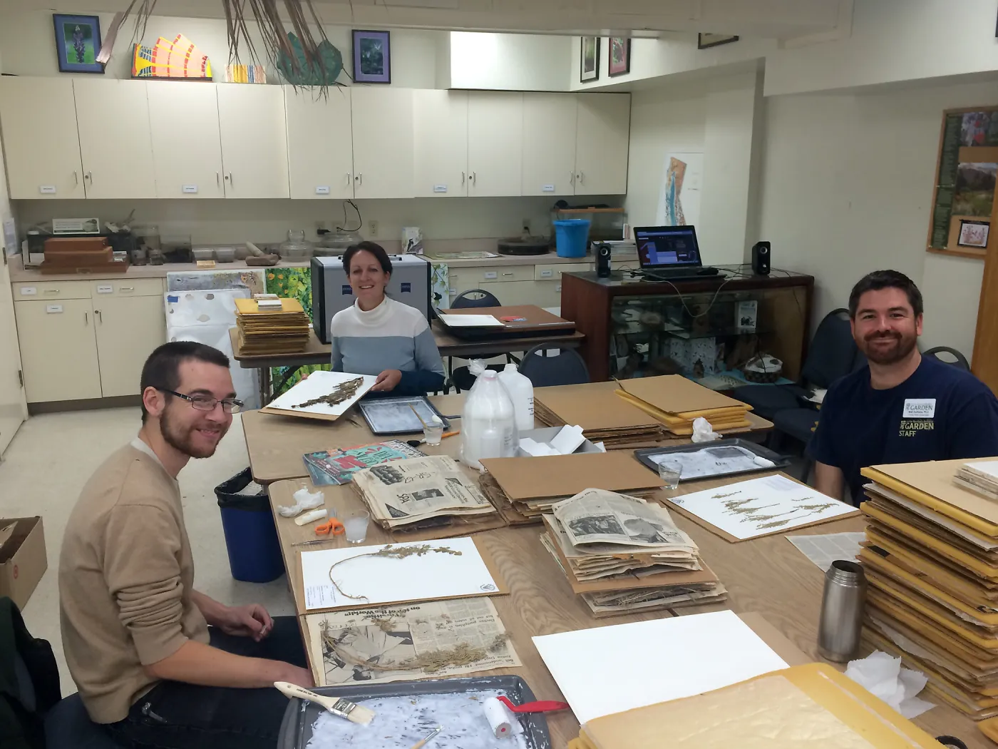 Chris Garrotte, Denise Knapp, Matt Guilliams mounting herbarium specimens