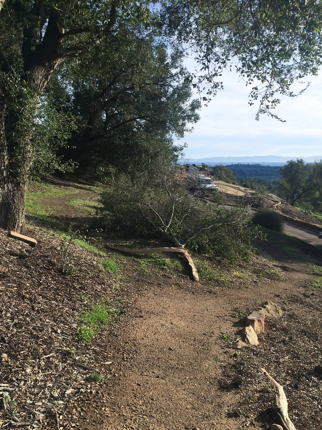 Fallen branch near trail to Pritzlaff Conservation Center