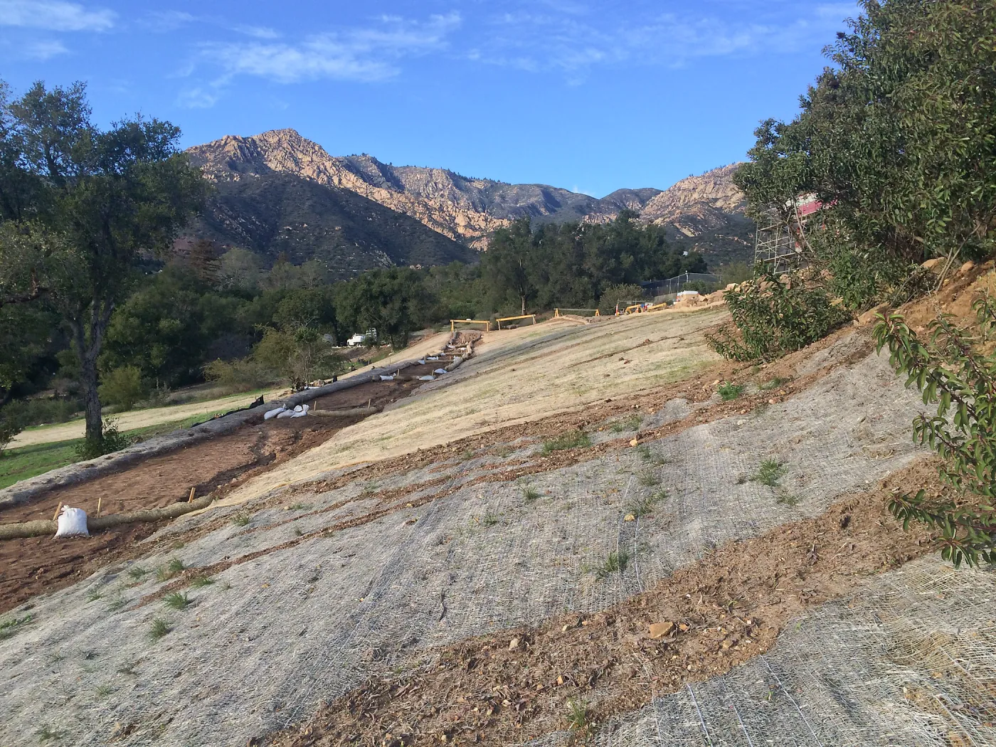 West slope of Pritzlaff Conservation Center showing jute netting for erosion control