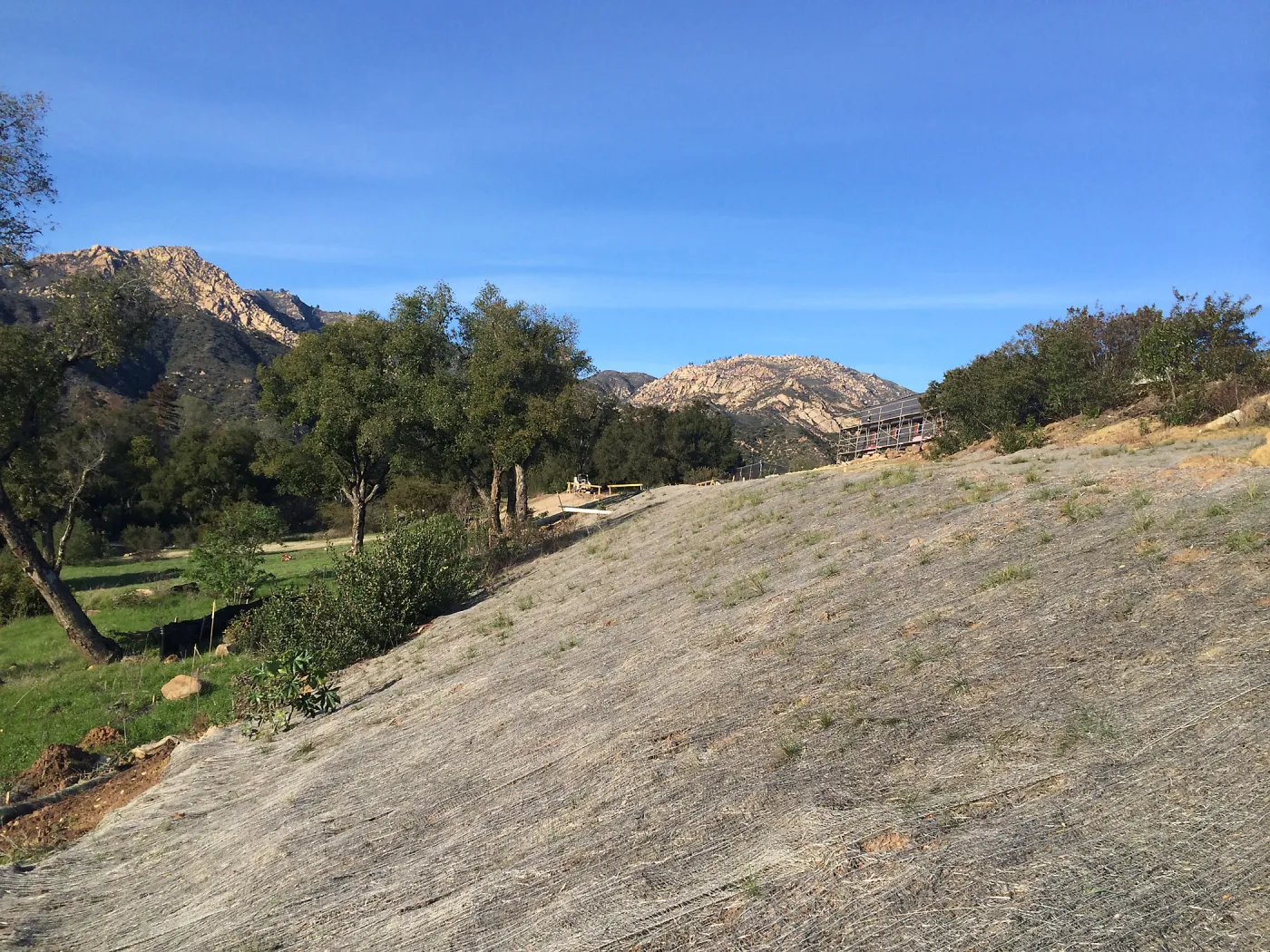 West slope of Pritzlaff Conservation Center showing jute netting for erosion control