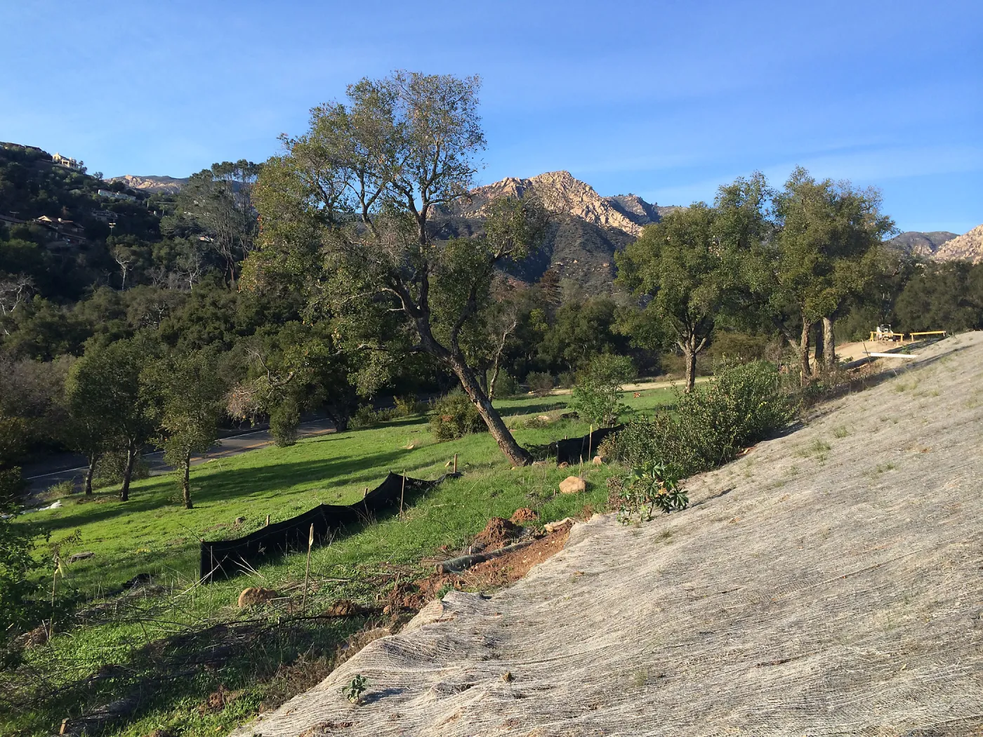 West slope of Pritzlaff Conservation Center showing jute netting for erosion control