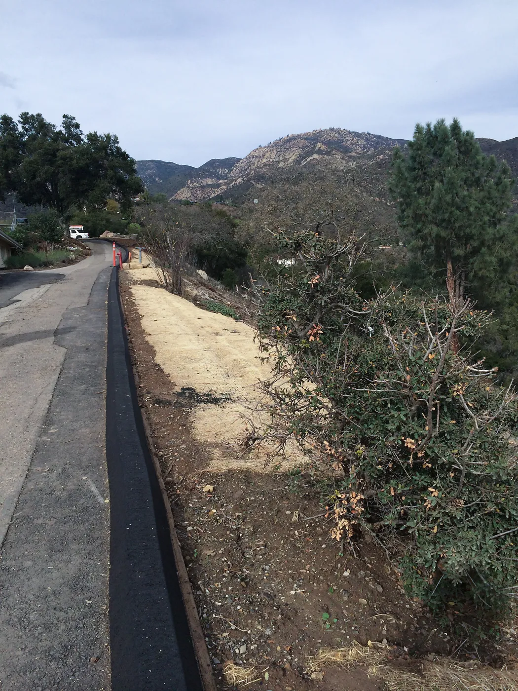 New asphalt curb along upper driveway