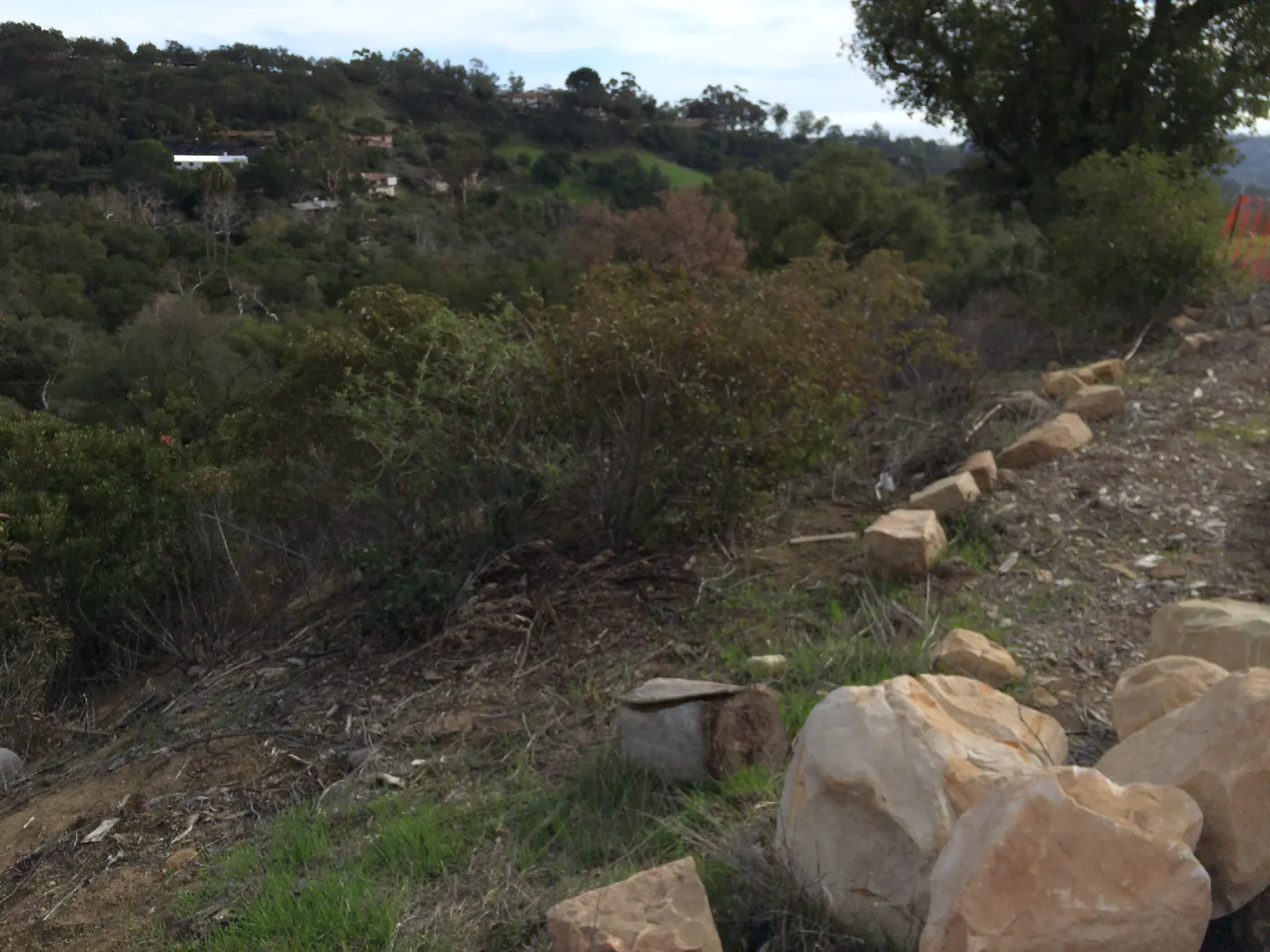 Condition of perimeter walls at Pritzlaff Conservation center before repair