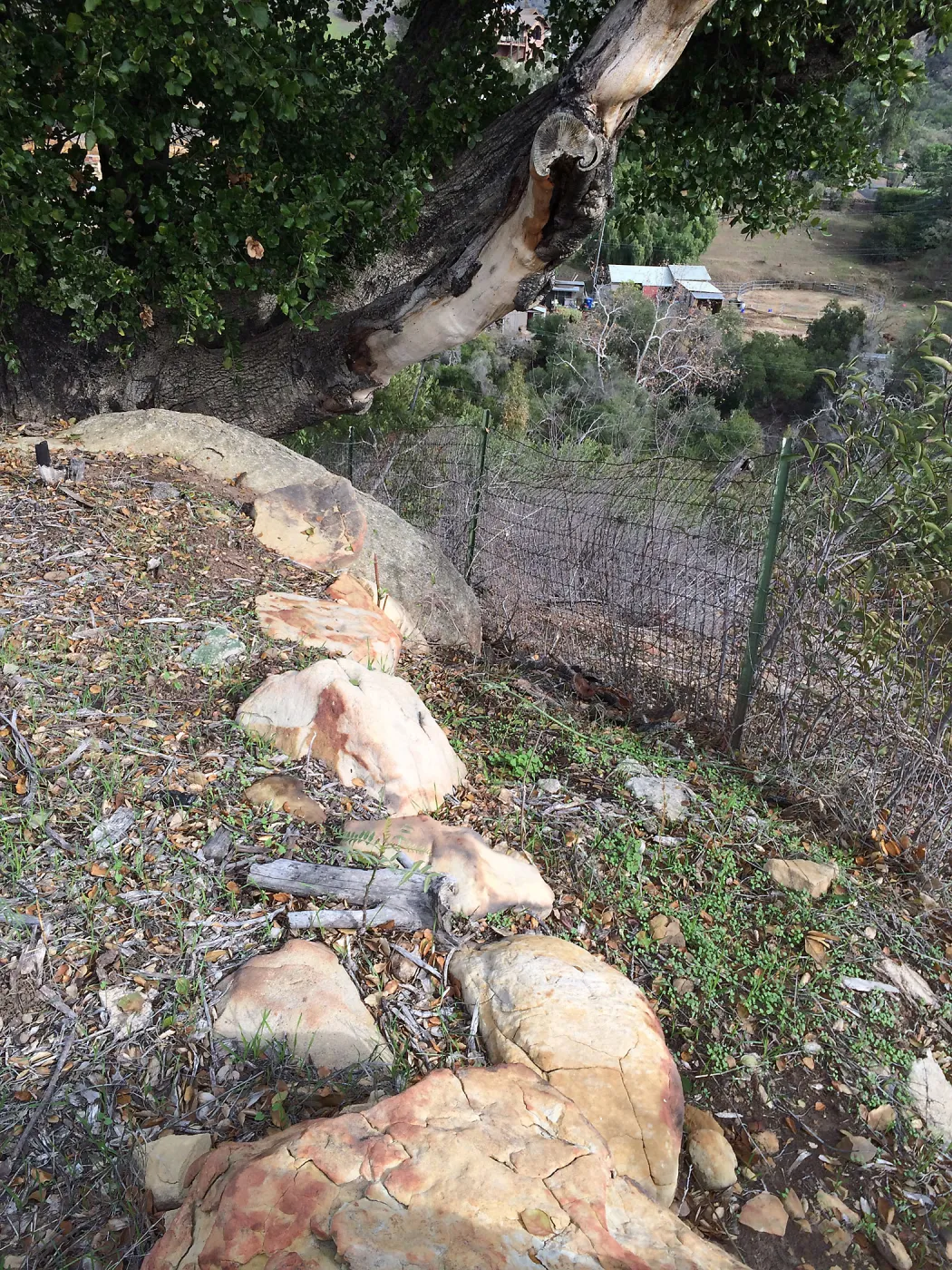 Condition of perimeter walls at Pritzlaff Conservation center before repair