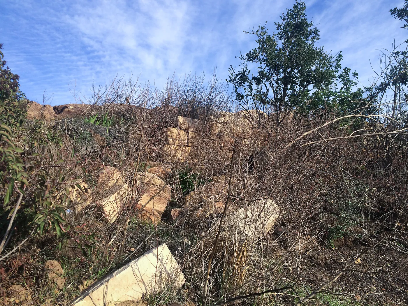 Condition of perimeter walls at Pritzlaff Conservation center before repair